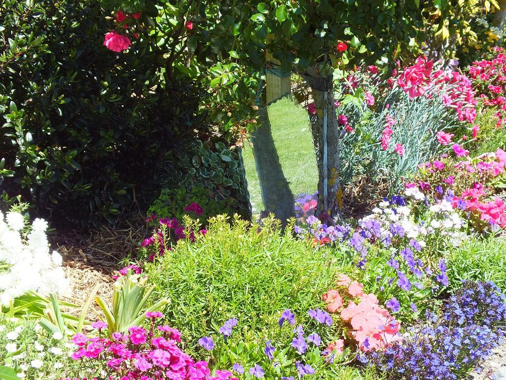 Austin Heights - Kaikoura Bed & Breakfast Exterior photo